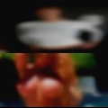 Girl pussy fruit Indiana