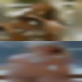 Shy horny daring wife islands
